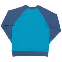 Load image into Gallery viewer, Boy in polar bear sweatshirt